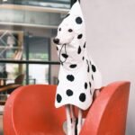 Polka Dot Rain Cape - Waterproof Mushroom-Style Poncho for Small & Medium Dogs - Image 8