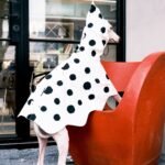 Polka Dot Rain Cape - Waterproof Mushroom-Style Poncho for Small & Medium Dogs - Image 11