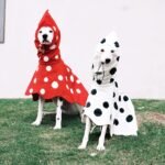 Polka Dot Rain Cape - Waterproof Mushroom-Style Poncho for Small & Medium Dogs