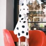 Polka Dot Rain Cape - Waterproof Mushroom-Style Poncho for Small & Medium Dogs - Image 7
