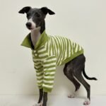 Striped Cotton Knit Dog Polo Shirt - Casual Sweater Tee for Italian Greyhounds & Small Whippets - Image 6