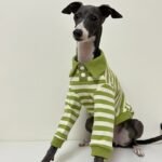 Striped Cotton Knit Dog Polo Shirt - Casual Sweater Tee for Italian Greyhounds & Small Whippets - Image 2