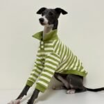 Striped Cotton Knit Dog Polo Shirt - Casual Sweater Tee for Italian Greyhounds & Small Whippets - Image 3