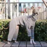 Soft Cotton Jumpsuit - High-Neck Pajamas & Base Layer for Italian Greyhounds & Whippets