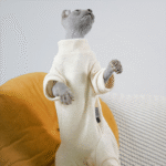 Fleece Cat Jumpsuit - Four-Legged Winter Clothes for Hairless Sphynx Devon Cats - Image 3