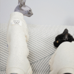 Fleece Cat Jumpsuit - Four-Legged Winter Clothes for Hairless Sphynx Devon Cats - Image 4