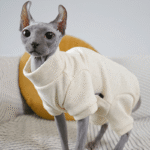 Fleece Cat Jumpsuit - Four-Legged Winter Clothes for Hairless Sphynx Devon Cats