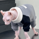 Colorblock Cat Sweatshirt - Turtleneck Fleece Pullover for Hairless Sphynx Devon Cats - Image 5