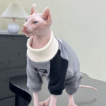 Colorblock Cat Sweatshirt - Turtleneck Fleece Pullover for Hairless Sphynx Devon Cats - Image 3