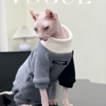 Colorblock Cat Sweatshirt - Turtleneck Fleece Pullover for Hairless Sphynx Devon Cats - Image 2