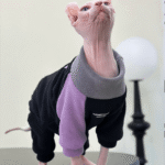 Colorblock Cat Jumpsuit - Stretchy Fleece-Lined Winter Clothes for Hairless Sphynx Devon Cats - Image 5