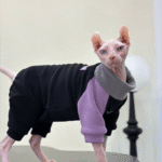 Colorblock Cat Jumpsuit - Stretchy Fleece-Lined Winter Clothes for Hairless Sphynx Devon Cats