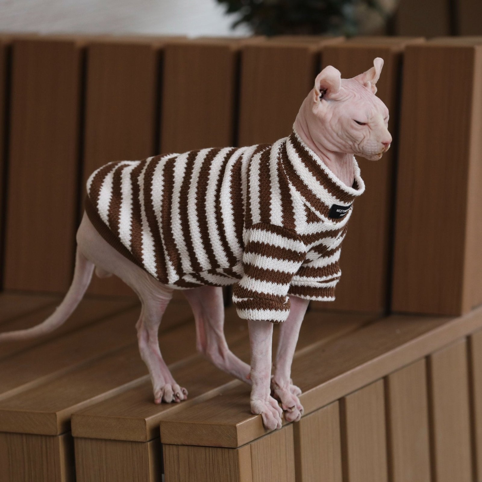 stripe-onesies-sphynx-cat-clothes-cotton-shirts-2788087.jpg Striped Cat Sweater - Warm Knitted Pullover for Hairless Sphynx Devon Cats - Image 1