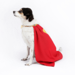 Red Superhero Dog Cape - Adjustable Costume Poncho for Small to Large Pets - Image 7
