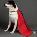 Red Superhero Dog Cape - Adjustable Costume Poncho for Small to Large Pets - Image 9