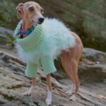 Luxury Pink Feather Trim Dog Sweater - Warm Knit Turtleneck for Italian Greyhounds - Image 8