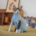 Striped Thermal Cat Shirt - High-Stretch Fleece-Lined Base Layer for Hairless Sphynx Cats - Image 3