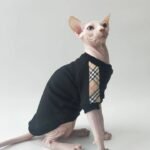 Cotton Modal Cat T-Shirt - Lightweight Base Layer Shirt for Hairless Sphynx Devon Cats - Image 6