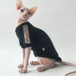 Cotton Modal Cat T-Shirt - Lightweight Base Layer Shirt for Hairless Sphynx Devon Cats - Image 3