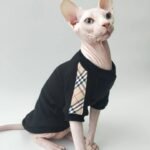 Cotton Modal Cat T-Shirt - Lightweight Base Layer Shirt for Hairless Sphynx Devon Cats - Image 2