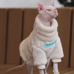 Thickened Fleece Cat Jumpsuit - Warm Four-Legged Winter Clothes for Hairless Sphynx Devon Cats - Image 2