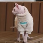Thickened Fleece Cat Jumpsuit - Warm Four-Legged Winter Clothes for Hairless Sphynx Devon Cats - Image 3