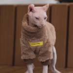 Thickened Fleece Cat Jumpsuit - Warm Four-Legged Winter Clothes for Hairless Sphynx Devon Cats - Image 5