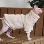 Thickened Fleece Cat Jumpsuit - Warm Four-Legged Winter Clothes for Hairless Sphynx Devon Cats - Image 4