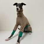 Cotton Turtleneck Four-legged jumpsuit Greyhound Clothes - Image 4