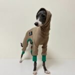 Cotton Turtleneck Four-legged jumpsuit Greyhound Clothes - Image 2