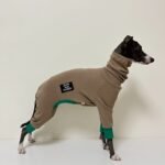Cotton Turtleneck Four-legged jumpsuit Greyhound Clothes - Image 3