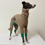 Cotton Turtleneck Four-legged jumpsuit Greyhound Clothes - Image 5