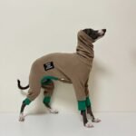 Cotton Turtleneck Four-legged jumpsuit Greyhound Clothes