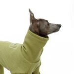 Cotton High Neck Windproof Greyhound Clothes - Image 3