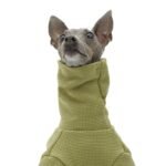 Cotton High Neck Windproof Greyhound Clothes - Image 4
