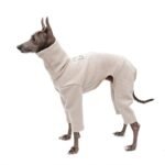 Cotton High Neck Windproof Greyhound Clothes - Image 8