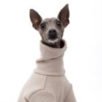 Cotton High Neck Windproof Greyhound Clothes - Image 10