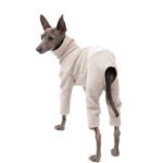 Cotton High Neck Windproof Greyhound Clothes - Image 9