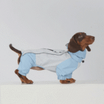 Waterproof Dog Raincoat Jumpsuit - Full Coverage Windbreaker for Dachshunds & Whippets - Image 4