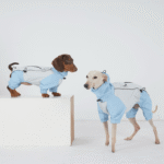 Waterproof Dog Raincoat Jumpsuit - Full Coverage Windbreaker for Dachshunds & Whippets