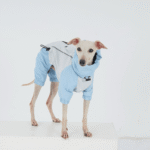 Waterproof Dog Raincoat Jumpsuit - Full Coverage Windbreaker for Dachshunds & Whippets - Image 2