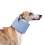 Dog Neck Brace | Soft Pet Recovery Collar, Comfortable E-Collar Alternative for Post-Surgery Protection - Image 2