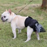 Dog Poop Collector Harness | Diaper Support Sling for Senior Dog Incontinence, Hands-Free Poop Catcher System - Image 3