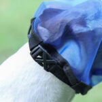 Dog Fly Mask | Breathable Mesh Eye Shield, Insect & Fly Protection with Unobstructed Vision - Image 9