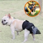 Dog Poop Collector Harness | Diaper Support Sling for Senior Dog Incontinence, Hands-Free Poop Catcher System - Image 5
