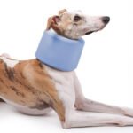 Dog Neck Brace | Soft Pet Recovery Collar, Comfortable E-Collar Alternative for Post-Surgery Protection - Image 3