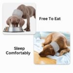 Dog Neck Brace | Soft Pet Recovery Collar, Comfortable E-Collar Alternative for Post-Surgery Protection - Image 10