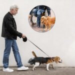 Dog Poop Collector Harness | Diaper Support Sling for Senior Dog Incontinence, Hands-Free Poop Catcher System - Image 6